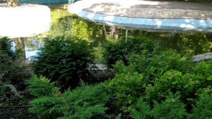 Я всё начну сначала 1 - 4 серии | Мелодрама 2021