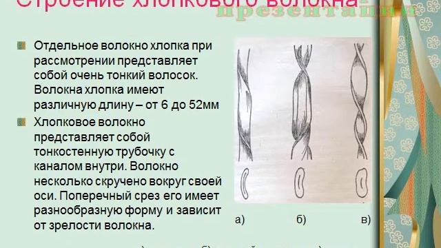 Презентация Натуральные волокна смотреть онлайн
