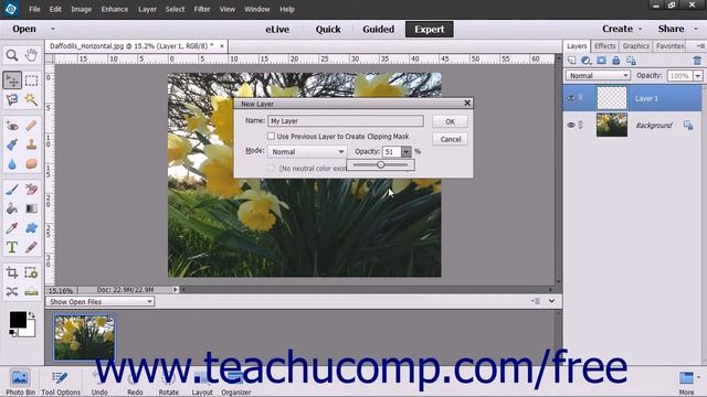 Photoshop Elements 13 Tutorial Creating New Layers Adobe Training смотреть онлайн