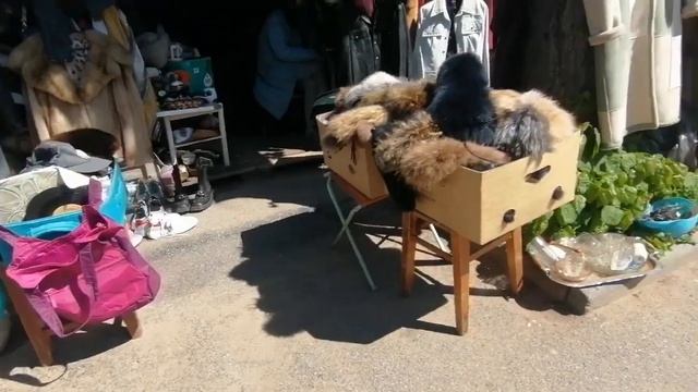 БЛОШИНЫЙ РЫНОК СПБ. ,УДЕЛЬНАЯ 28.05.23 ( ПРОДОЛЖЕНИЕ) смотреть онлайн