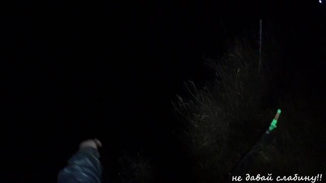 река ЛУГА , НАЛИМ рыбалка в декабре смотреть онлайн