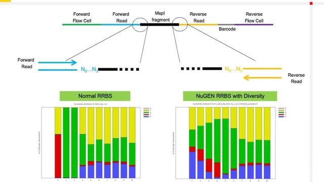 A Novel Approach to Epigenetic Methylation Analysis смотреть онлайн