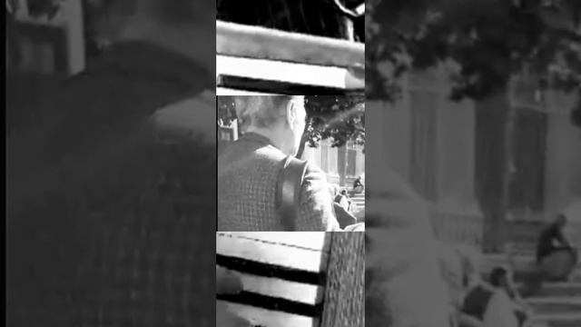 Sonata Allegro Sevilla With Accordion смотреть онлайн