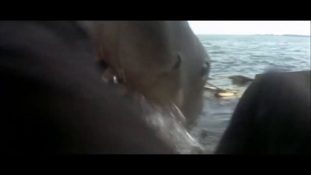 El tiburón se come a Quint | "Jaws" (1975) смотреть онлайн