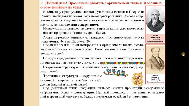 ХИМИЯ-10. БУ. ПАРАГРАФ 17-2. Аминокислоты. Белки. смотреть онлайн