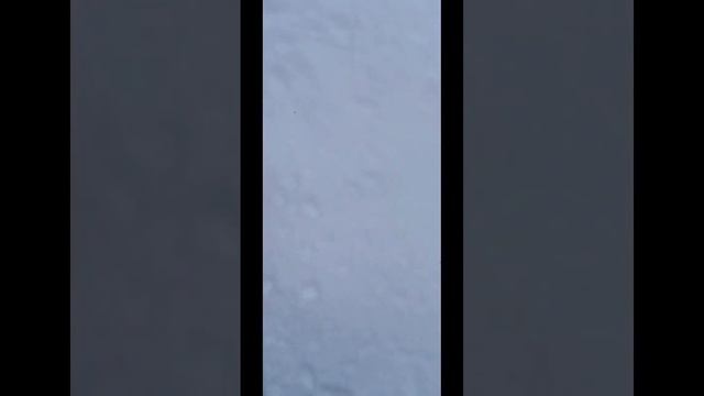 #FreeingTheMind. день 205. мое такое доброе утро. убираем упавшую ветку.)ч5 смотреть онлайн