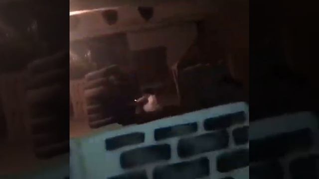 Лазертаг в Благовещенске 