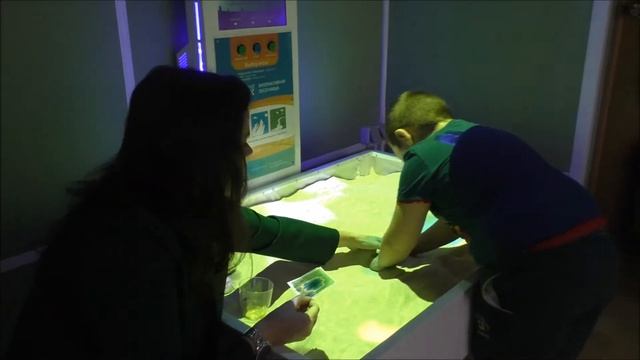 Новожилова Кристина Александровна – ГБУСО МО «Комплексный центр «Оптимист» г. Сергиев Посад смотреть онлайн