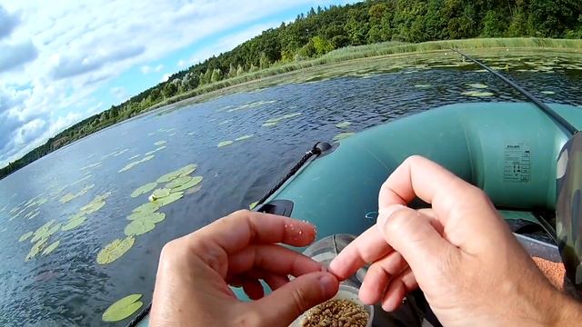 Ловля поплавочной удочкой Интересные секреты ловли смотреть онлайн