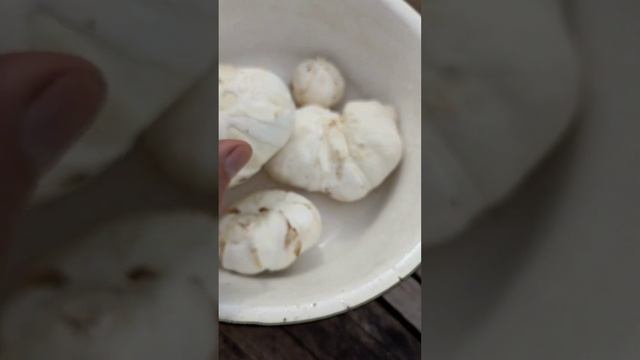 Жарим грибы дождевики???? смотреть онлайн