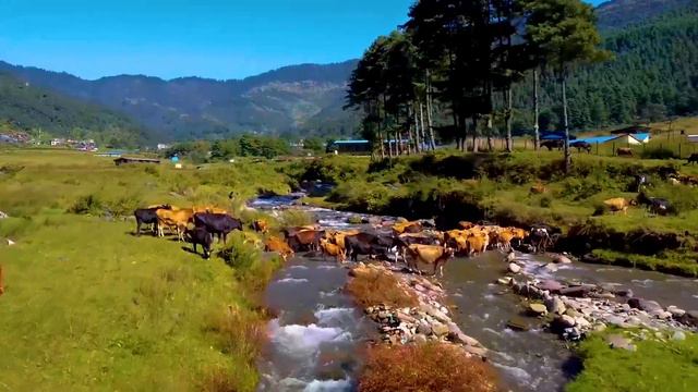 Jiri Dolakha || Switzerland Of Nepal || Jiri Bazar || Dolakha Jiri Bazar || Jiri Nepal || смотреть онлайн