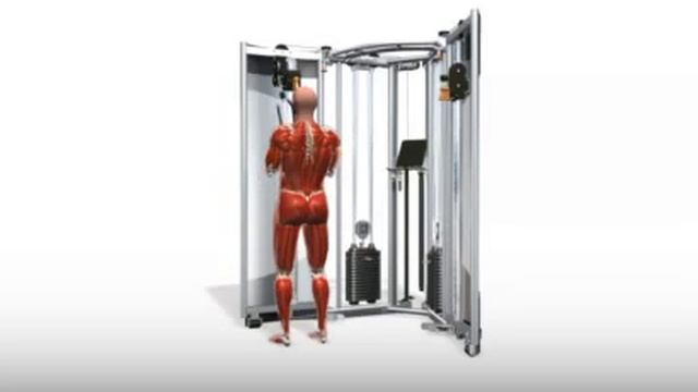 Bodybuilding Übungen- Standing Triceps Press Down WTQATS Strap   -  Www.Hilfe-Forum.eu