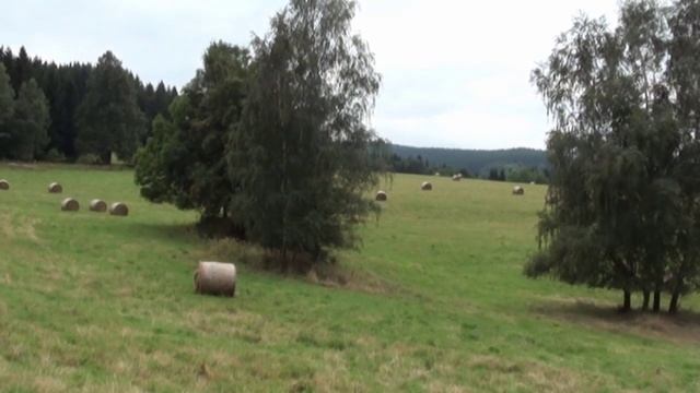 Hałda uranowa w Zalesi (Czechy), radioaktywność środowiska смотреть онлайн