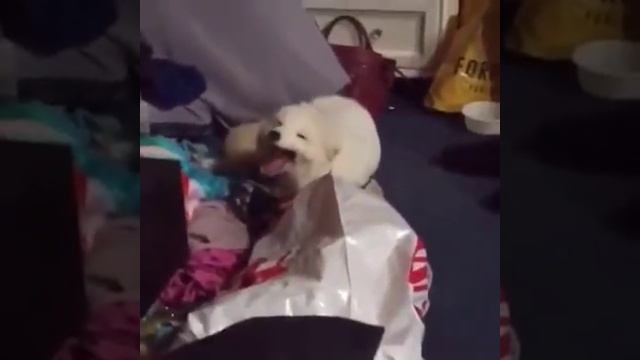 Как правильно смеяться. смотреть онлайн