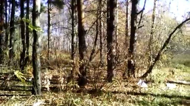 ПРИРОДА СТИХ смотреть онлайн