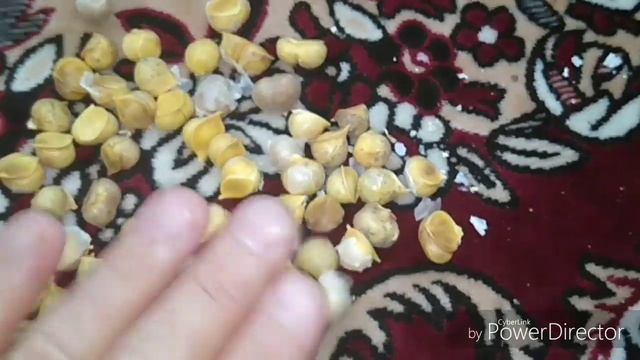 Посылка с Краснодарского края от Людмилы с детками чеснока Рокамболя смотреть онлайн