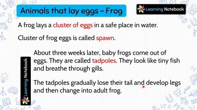 Class 4 Science Reproduction in Animals смотреть онлайн