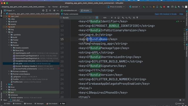 Flutter App Change App Name for iOS and Android смотреть онлайн
