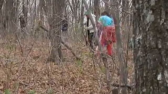 Большой репортаж на Славянской волне День Кедра 2014 смотреть онлайн