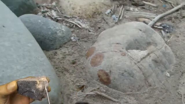 Речные камни возле горной речке смотреть онлайн