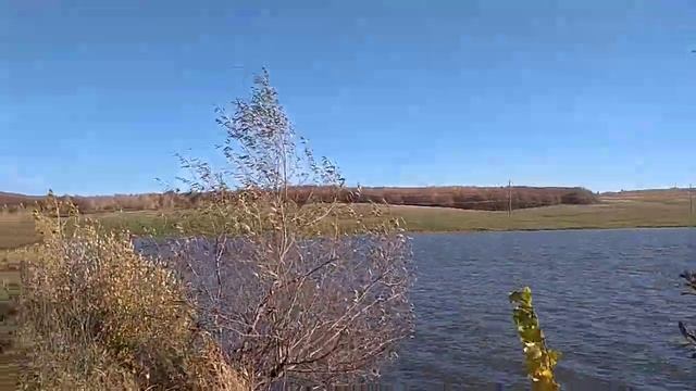 Башкортостан, Ишимбайский район, Терменьелгинский пруд смотреть онлайн