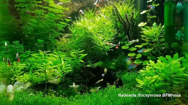 Нежный и крепкий СОН, глубокий релакс