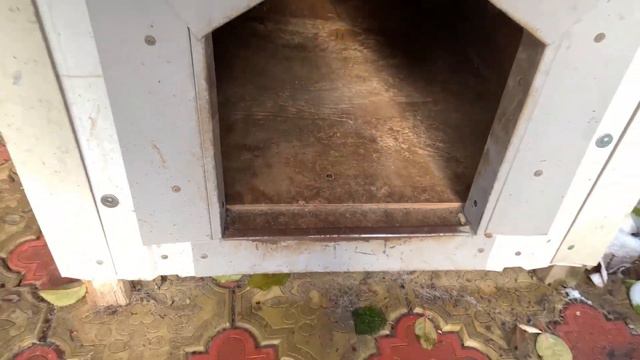 ЗОЖ с утра до вечера🤦♀️стригу,гуляю,физкультурничаю… смотреть онлайн