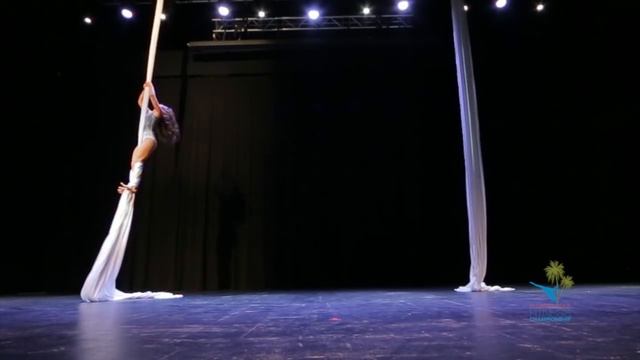 FPFC 2017 Aerial Silks Professional Division Champion - Xan Kaplan смотреть онлайн