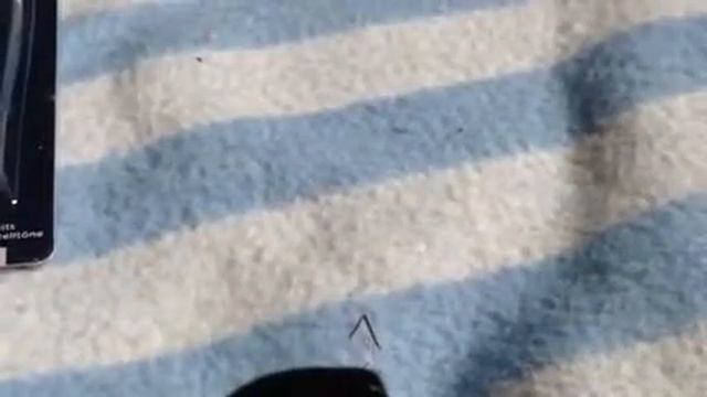 HAUL - Paper Wishes 2017AUG18