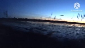 Весенняя охота на Гуся 2023г