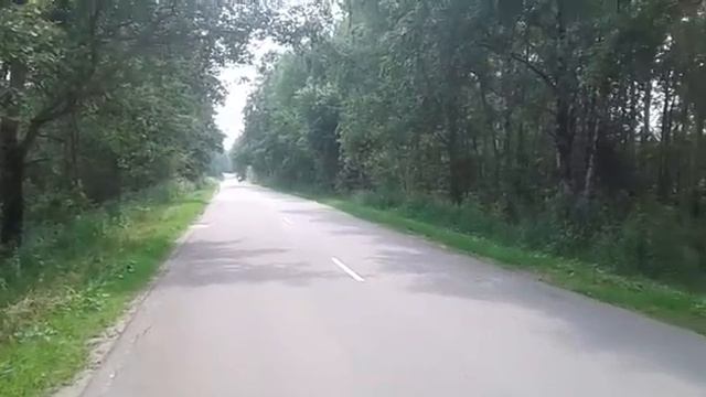 Электросамокат Kugoo M4 Pro, скорость 45 км/час! ?? смотреть онлайн