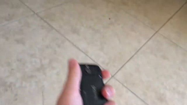 Palm pixi durability test смотреть онлайн