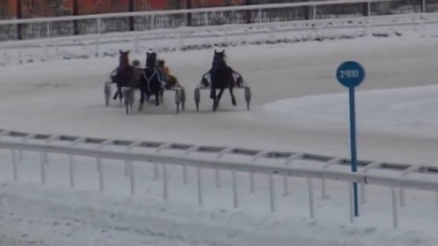15 Декабря 2018 3 Заезд Приз в честь Дня Конституции Российской Федерации смотреть онлайн