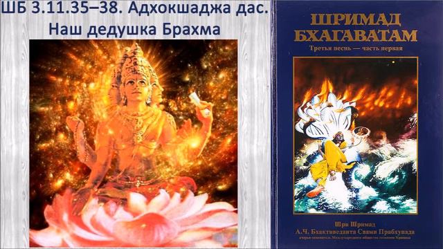 ШБ 3.11.35–38. Адхокшаджа д. Наш дедушка Брахма смотреть онлайн