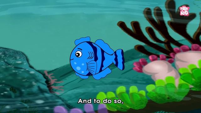 HABITAT OF ANIMALS | Classification Of Animals On Habitat | The Dr Binocs Show | Peekaboo Kidz