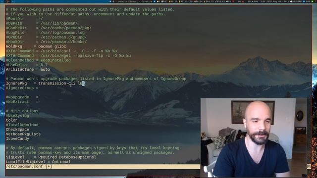Fix your Terrible Hipster Distro when it Breaks (Arch/Artix) смотреть онлайн