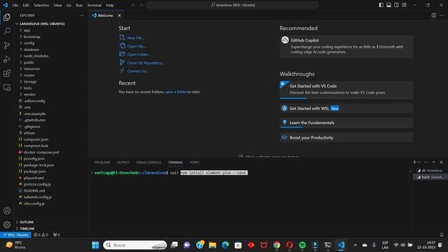 Instalación Laravel 10 Vue 3 Nº8 INSTALAR ELEMENT PLUS смотреть онлайн