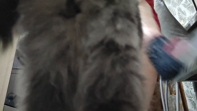 ОГО БОЛЬШОЕ ВИДЕО! НАЛЕТАЙТЕ смотреть онлайн