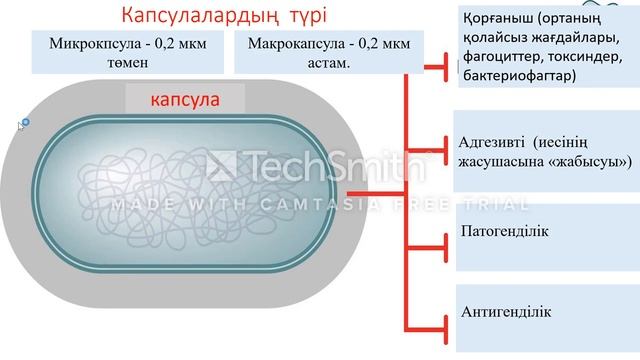 Дәріс №3 смотреть онлайн