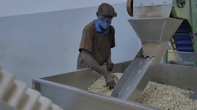 Ivory Coast Is the Largest Producer of Cashew Nuts in the World смотреть онлайн