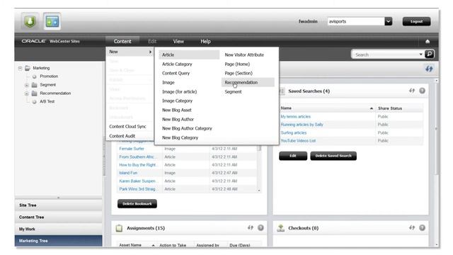 Integration of WebCenter Sites with Bluekai смотреть онлайн