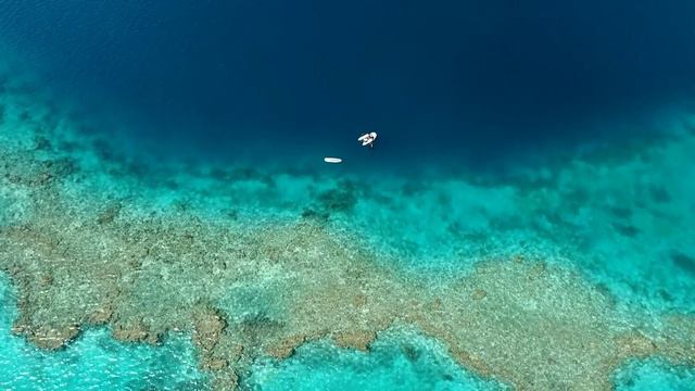 Great Blue Hole | Belize |Marine Beauty смотреть онлайн