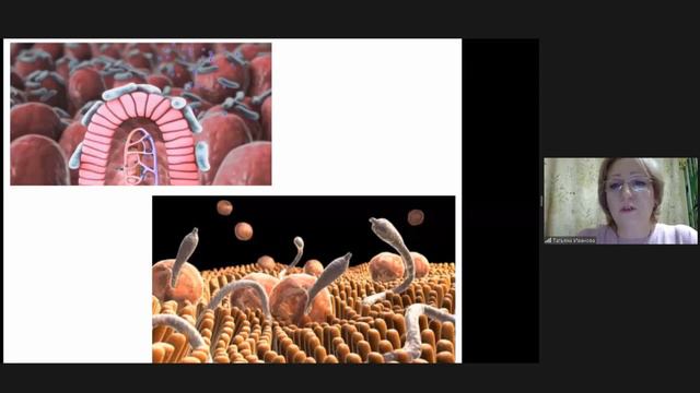 Медики и ЗОЖ. Тема: ДЕТСКОЕ ЗДОРОВЬЕ. смотреть онлайн
