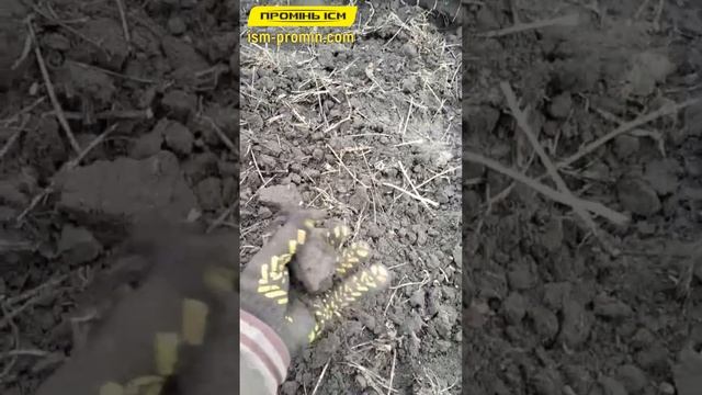 Дійсно легка дисковка по вологому! Ресорна дискова борона ДАР (2,8 м.) + БОНУС-ВІДГУК покупця. смотреть онлайн