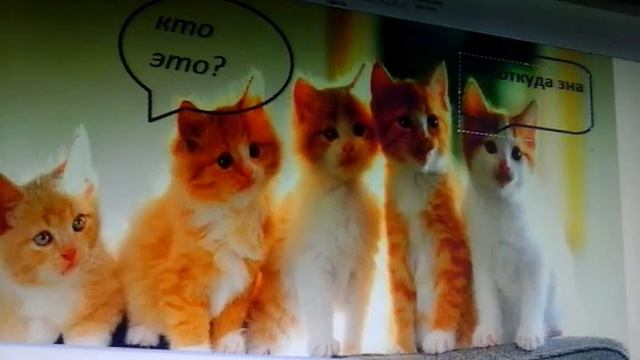 Как делать фотошоп с помощью поинта и Яндекс смотреть онлайн