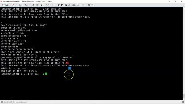 Bash Shell Scripting | Advanced usage of grep command | grep command with patterns | Video-7 смотреть онлайн