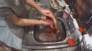 Как выпотрошить рыбу
