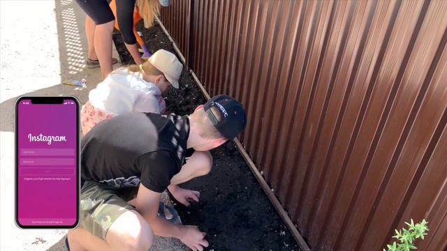 Посадка кукурузы в открытый грунт ПОПКОРН КРАСНЫЙ , ПОДСОЛНУХ смотреть онлайн