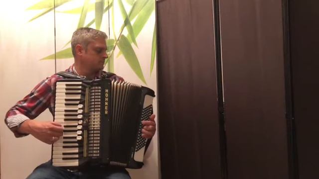 Akkordeon Cover - The Lion sleeps tonight - modern Songs смотреть онлайн