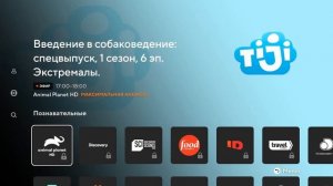 Бесплатные стандартные ТВ каналы для Android TV, Smart TV, Google TV.